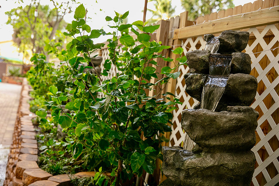 waterfall feature with rocks and plants